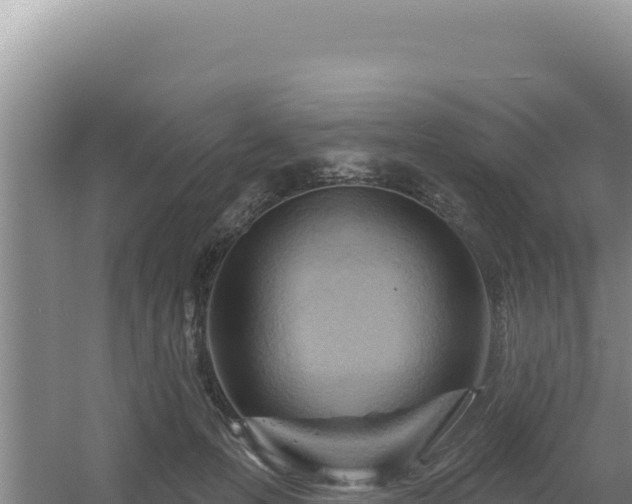 X0000054400223200508051722