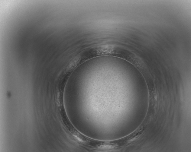 X0000054400224200508051722