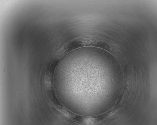 X0000054400226200508051722