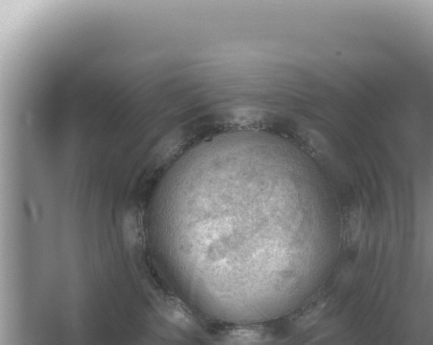 X0000054400236200508051722