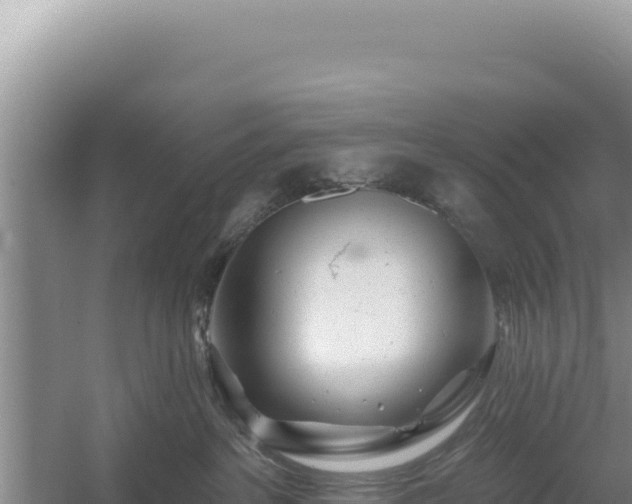 X0000054400237200508051722