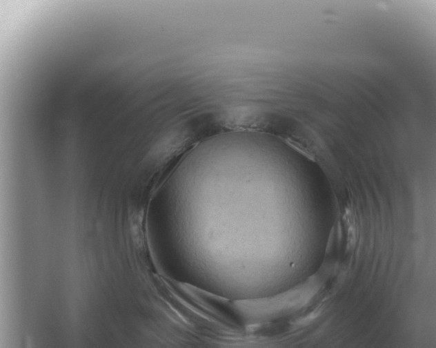 X0000054400239200508051722