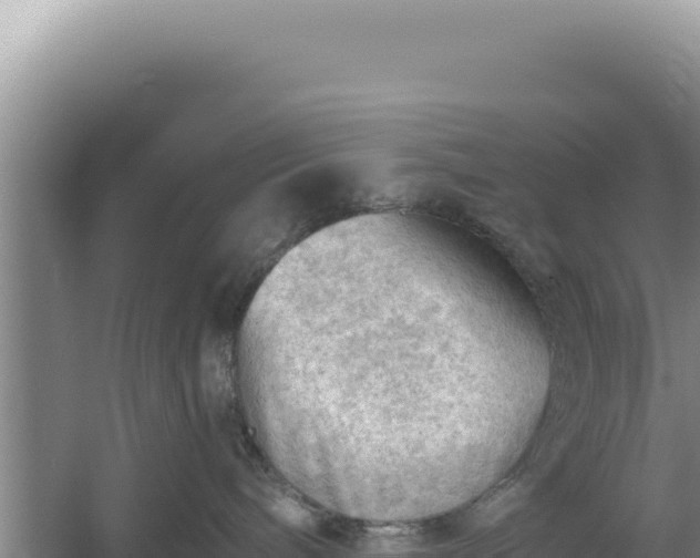 X0000054400240200508051722