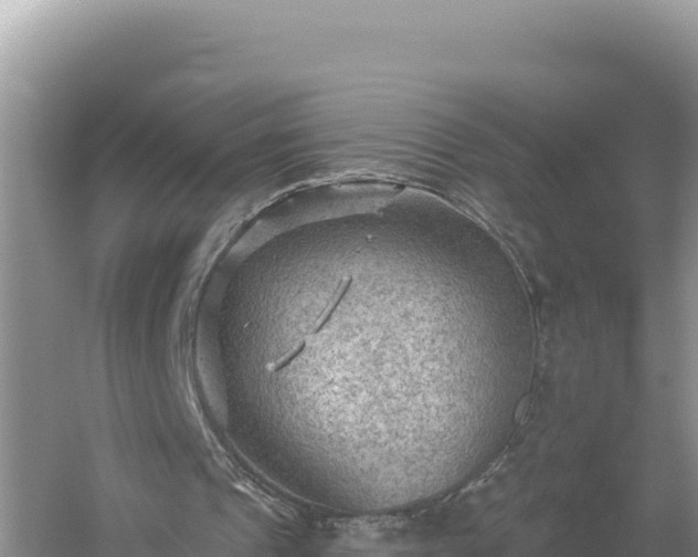 X0000054400241200508051721