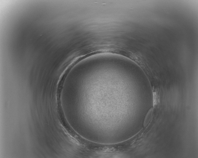 X0000054400243200508051721