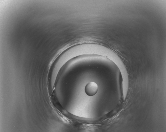 X0000054400244200508051721