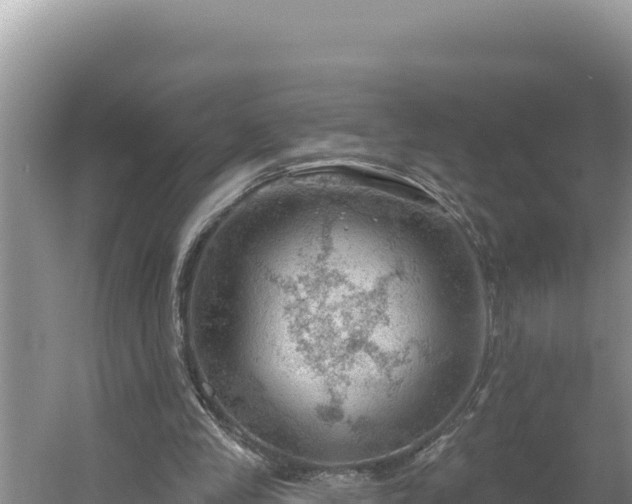 X0000054400245200508051721