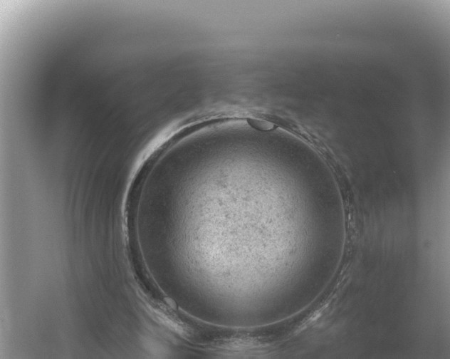 X0000054400246200508051721