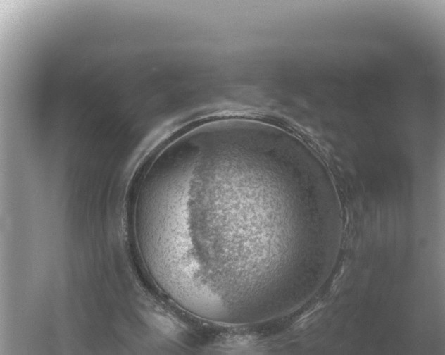 X0000054400247200508051721