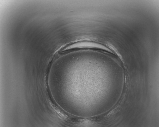 X0000054400249200508051721