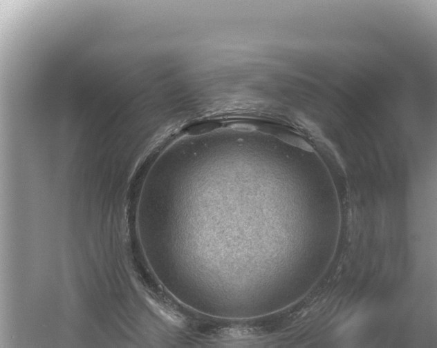 X0000054400250200508051721