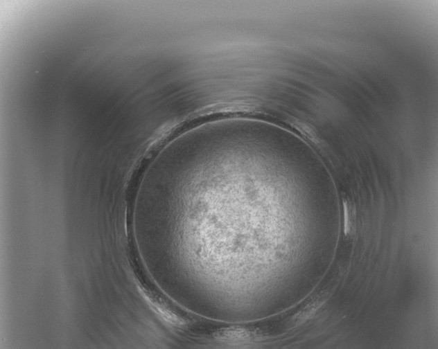 X0000054400253200508051721