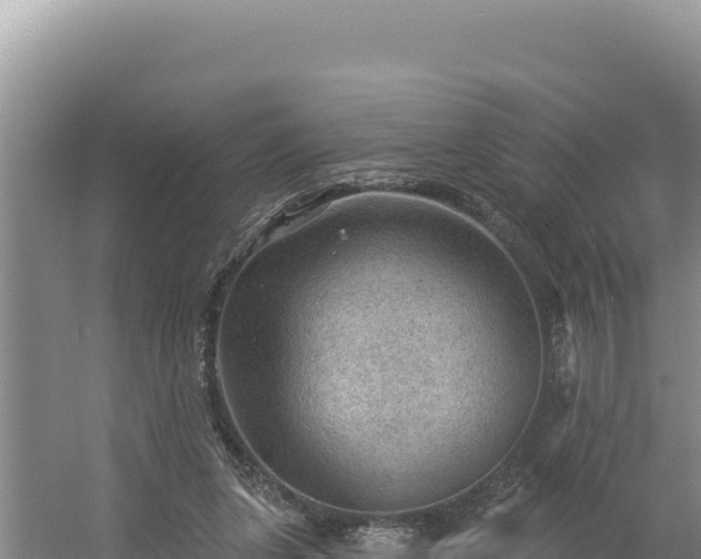 X0000054400255200508051721