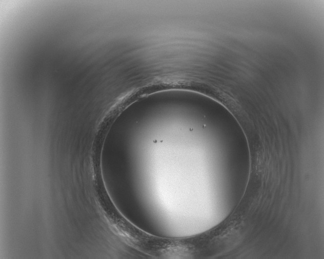 X0000054400256200508051721