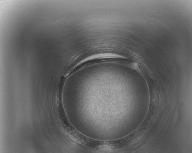 X0000054400259200508051721