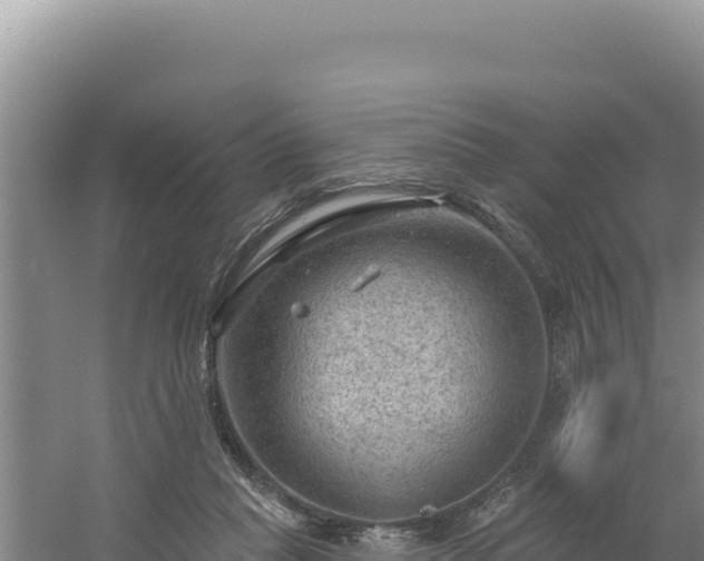 X0000054400261200508051721