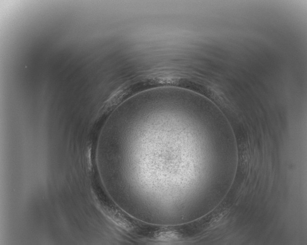 X0000054400262200508051721