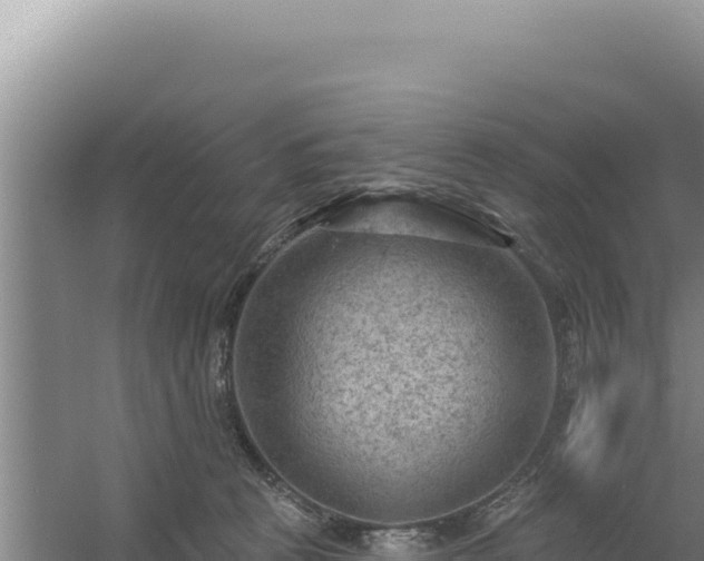 X0000054400273200508051721