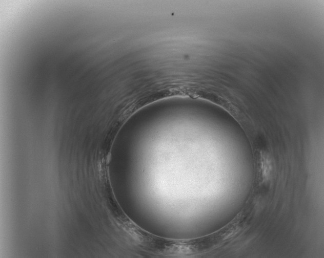 X0000054400276200508051721