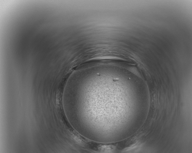 X0000054400277200508051721