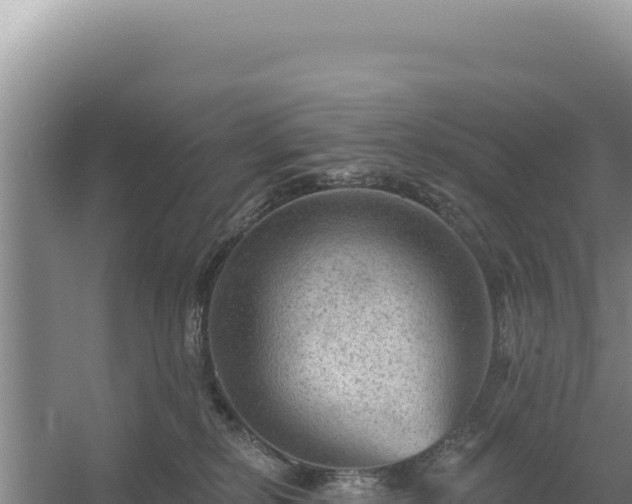 X0000054400278200508051721