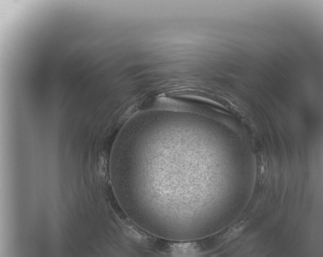 X0000054400281200508051721