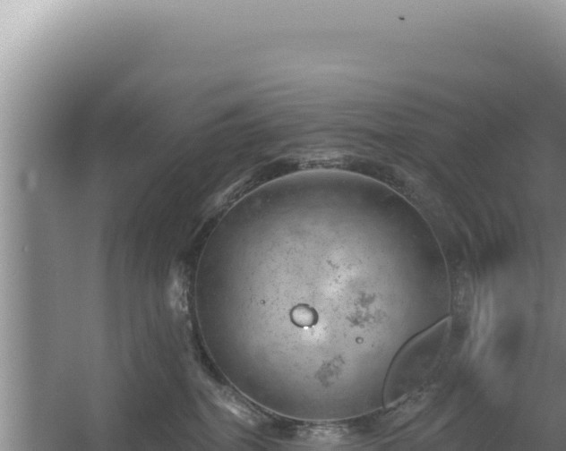 X0000054400282200508051721