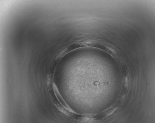 X0000054400284200508051721