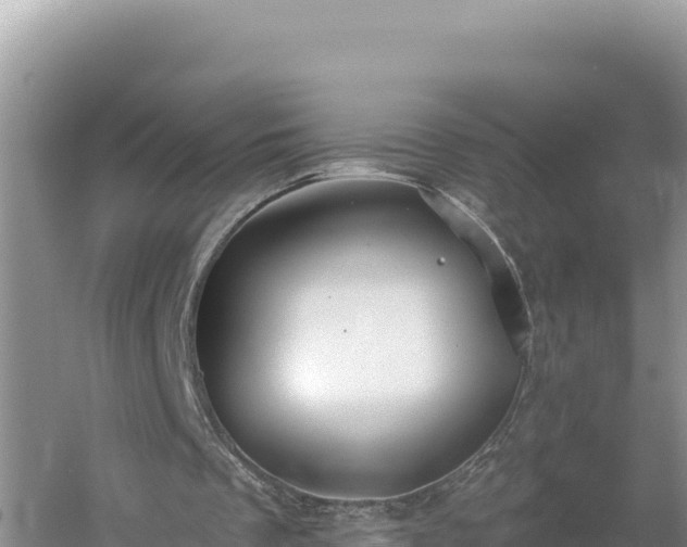 X0000054400289200508051721