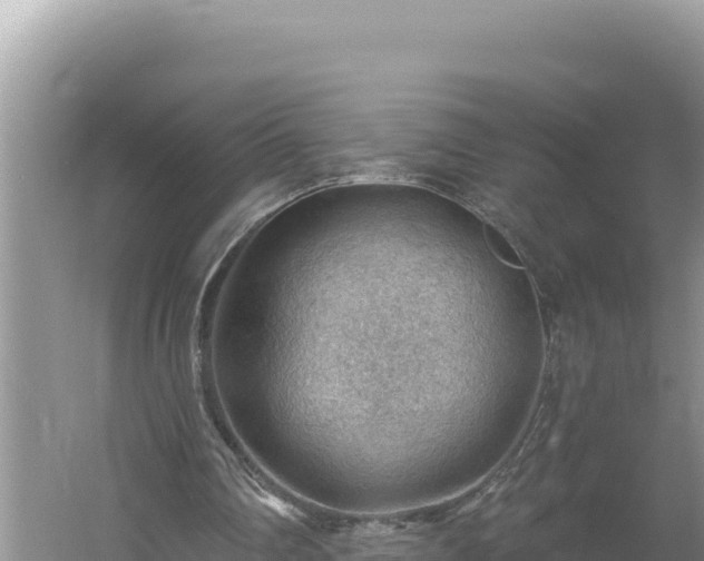 X0000054400290200508051721