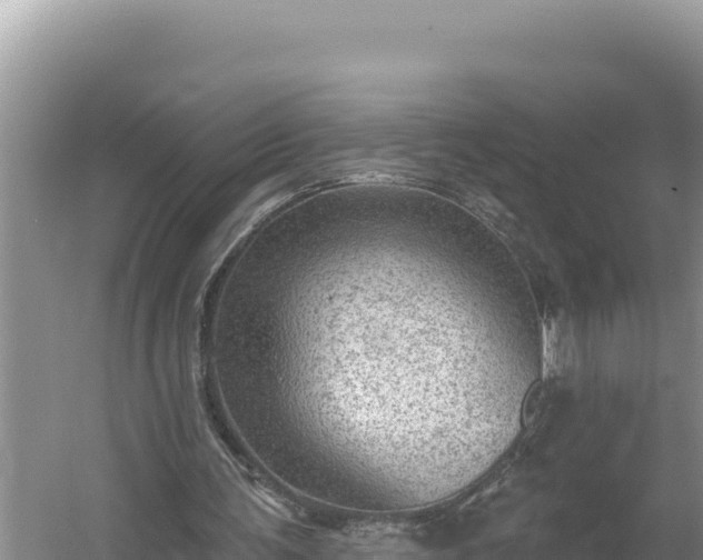 X0000054400291200508051721