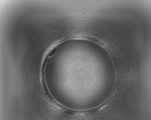 X0000054400294200508051721