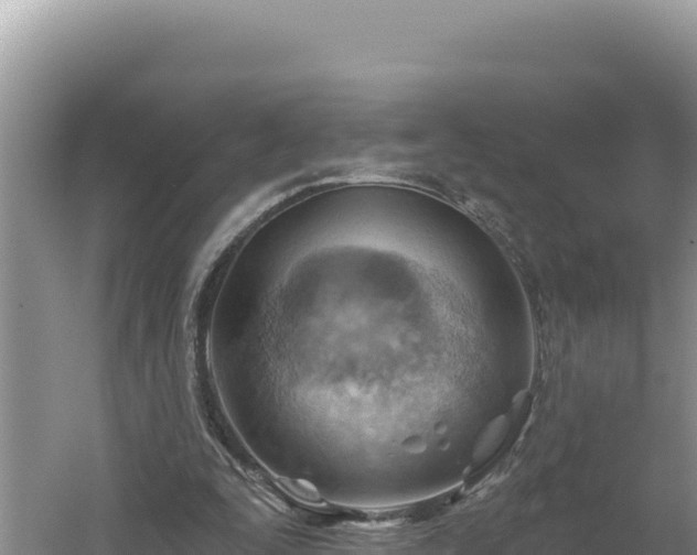 X0000054400295200508051721