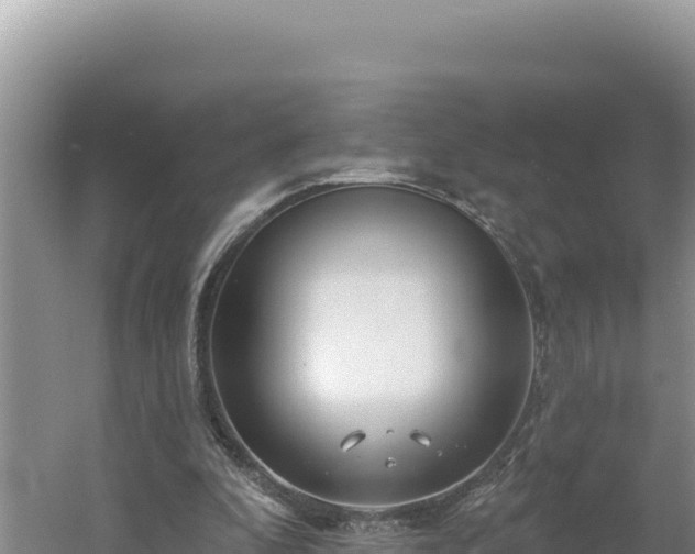 X0000054400296200508051721