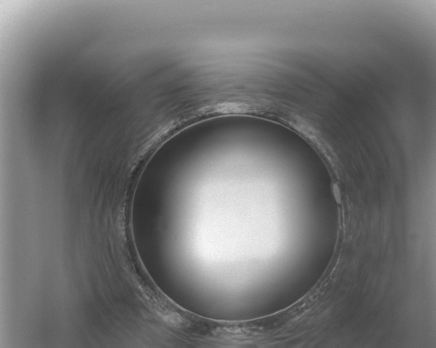 X0000054400297200508051721