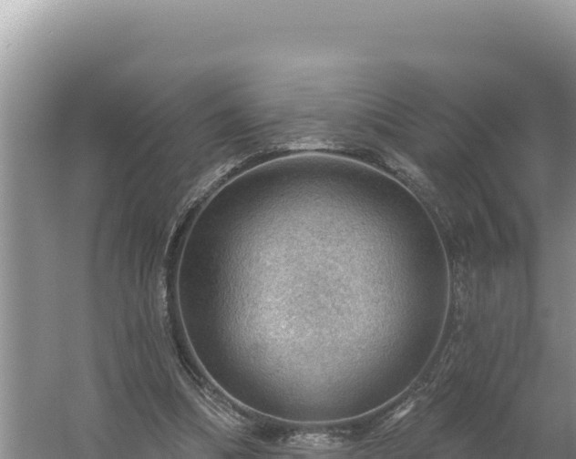 X0000054400298200508051721