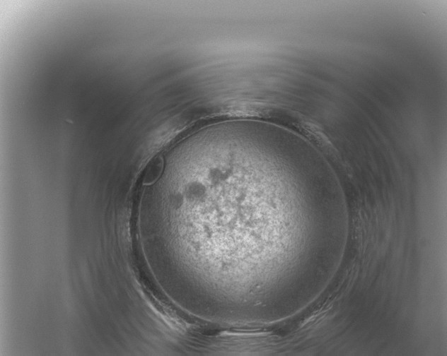 X0000054400299200508051721