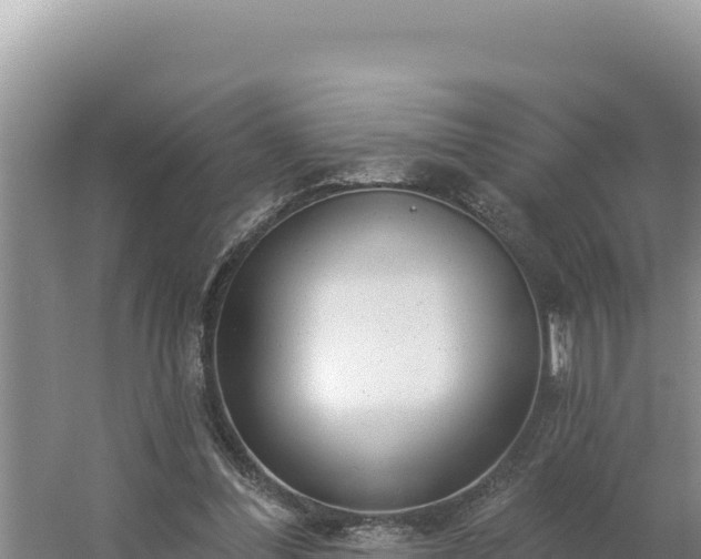 X0000054400300200508051721