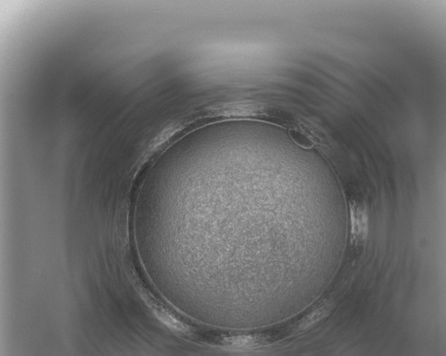 X0000054400301200508051721