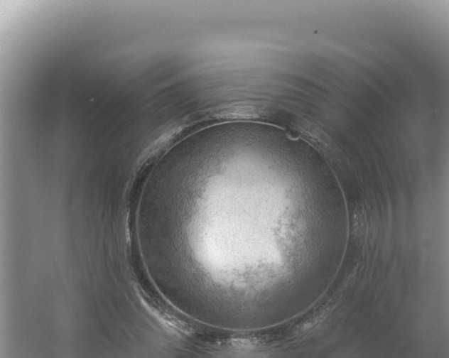 X0000054400302200508051721