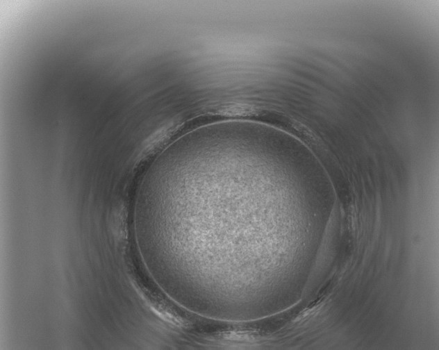 X0000054400303200508051720