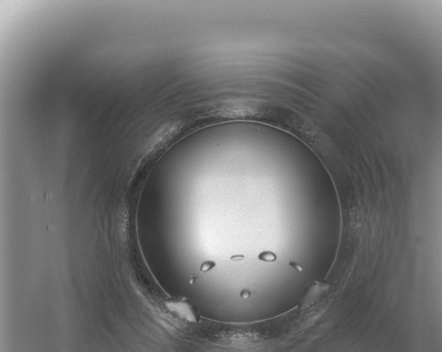 X0000054400304200508051720