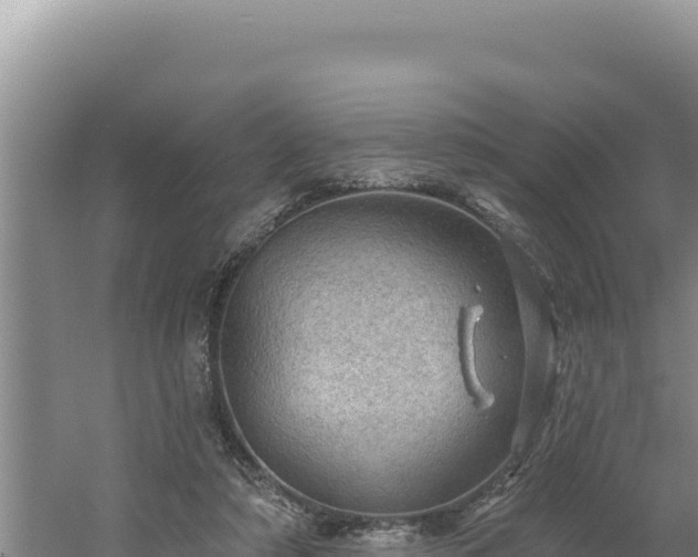 X0000054400306200508051720