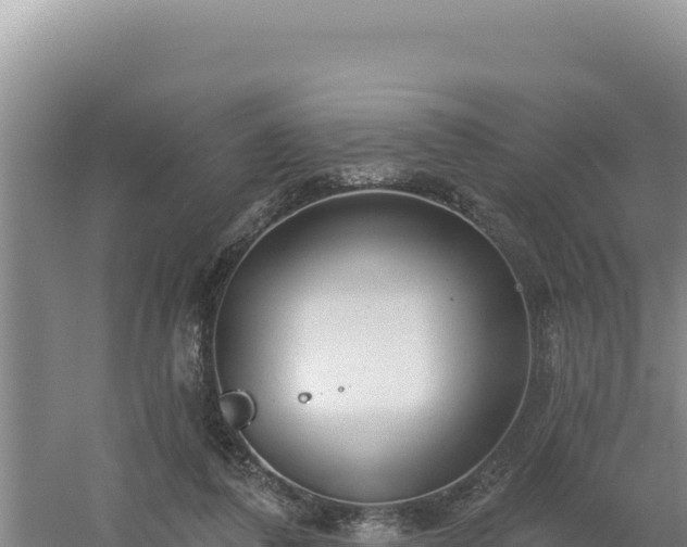 X0000054400308200508051720