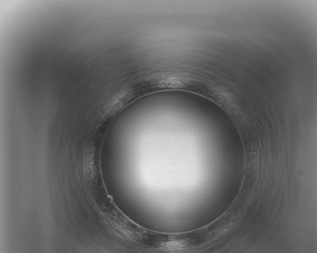 X0000054400312200508051720