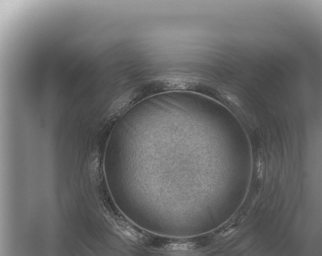 X0000054400314200508051720