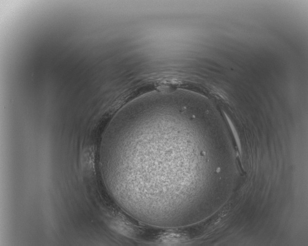 X0000054400315200508051720