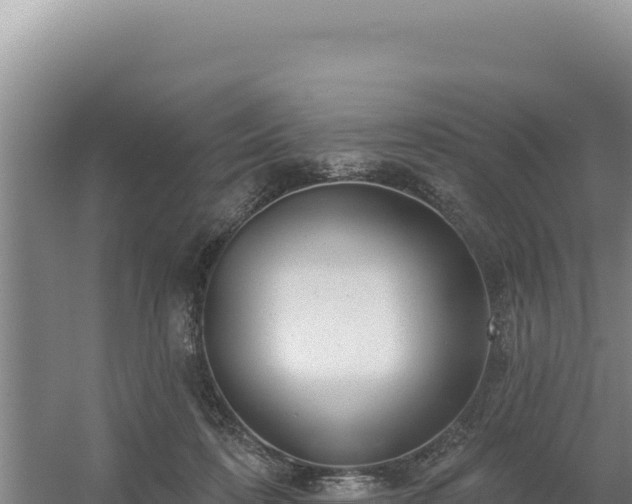 X0000054400316200508051720