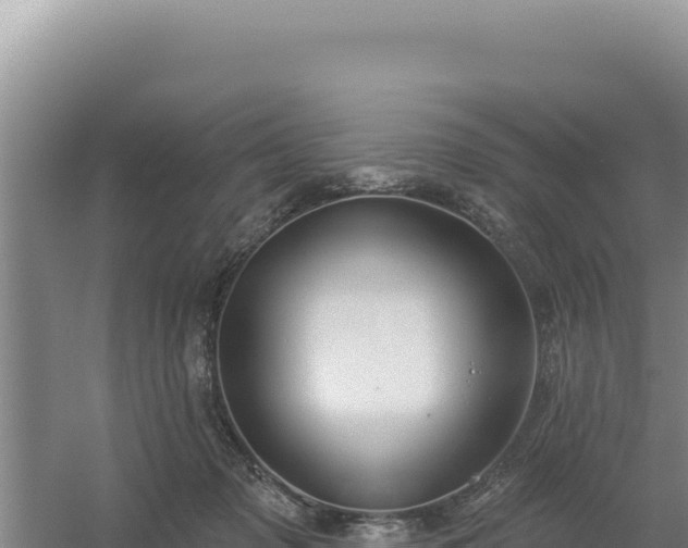 X0000054400317200508051720