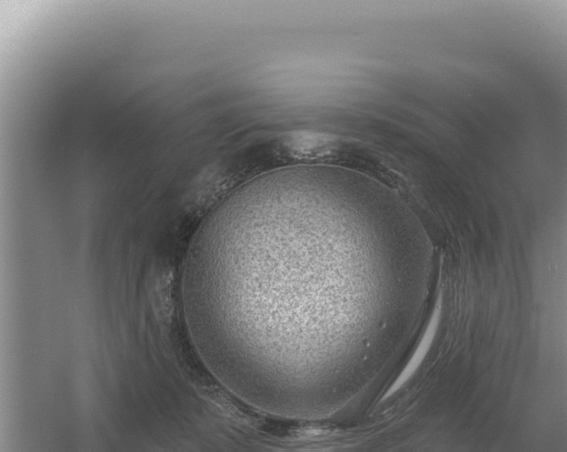 X0000054400319200508051720